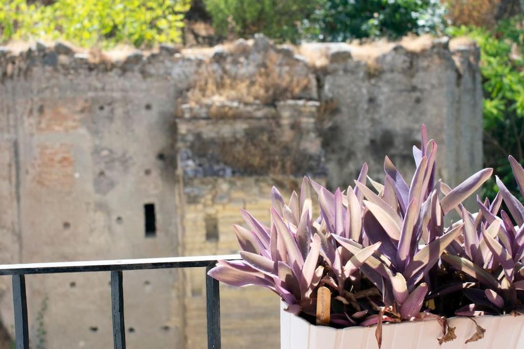 Alhambra Enamora 1 -Paseo De Los Tristes View 1 -C 格拉纳达 外观 照片